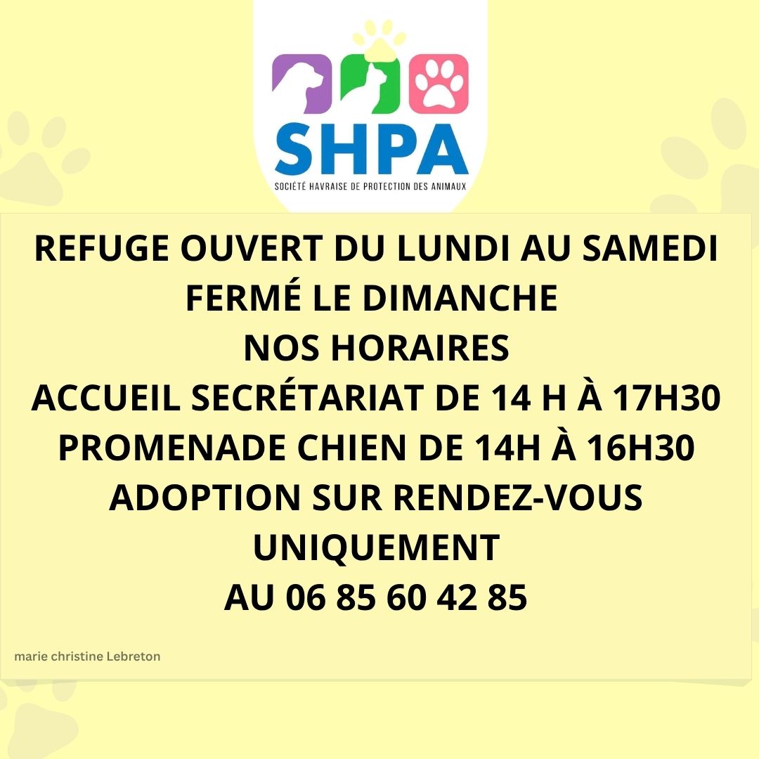 ADOPTION SUR RDV