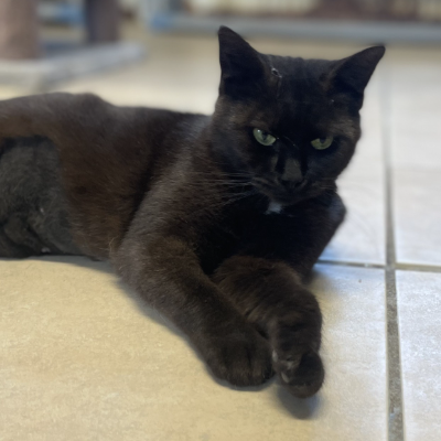 Onyx