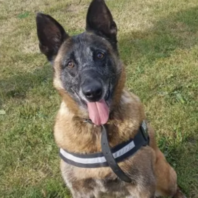 NIKITA